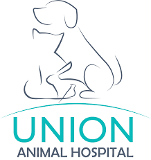 Union Animal Hospital