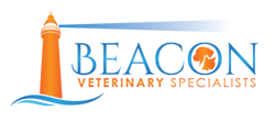 Top 3 Veterinary In Fremont CA