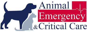 Top 3 Veterinary In Huntsville AL