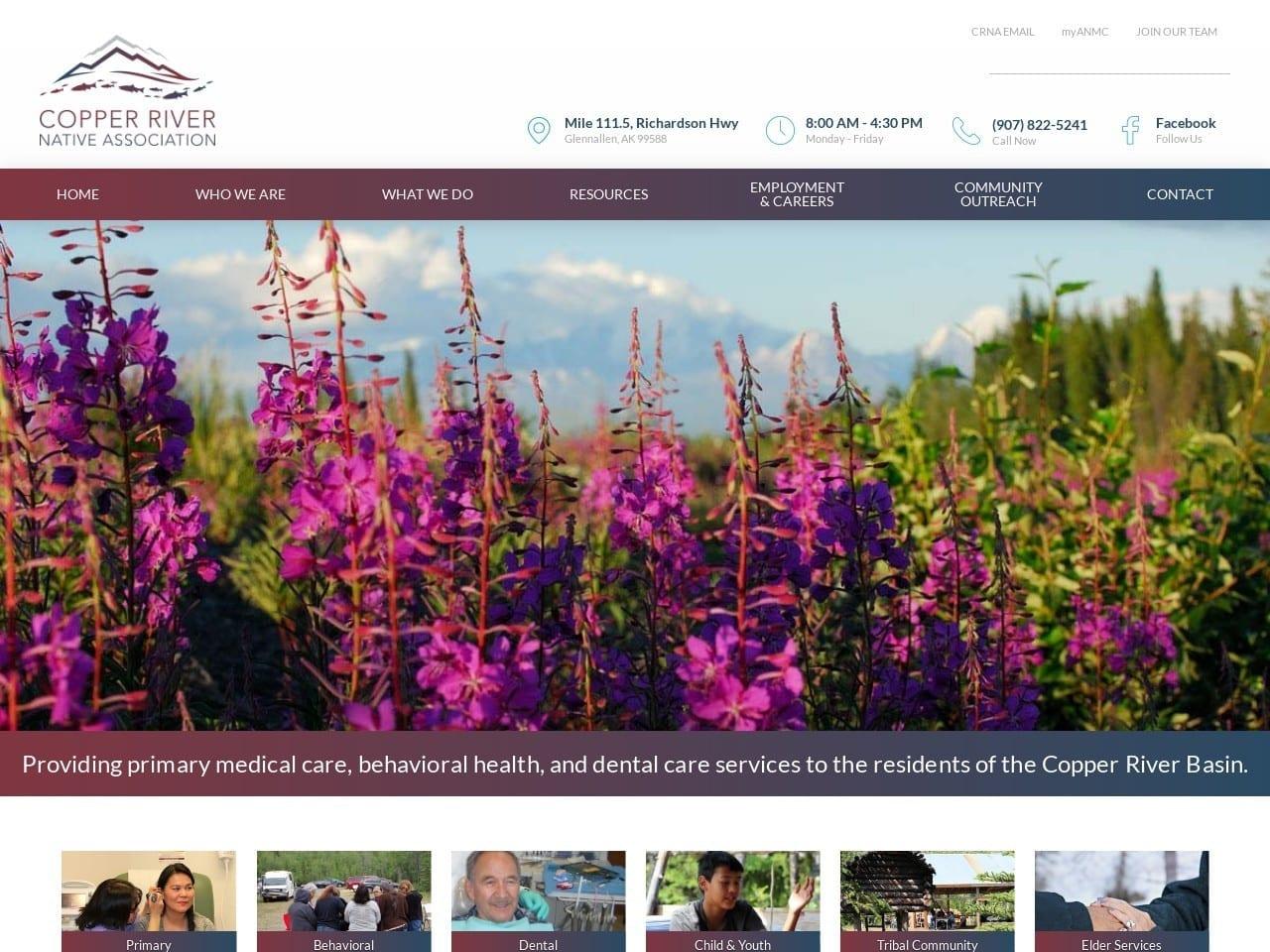 Wrangell Mountain Dental Clinic screenshot
