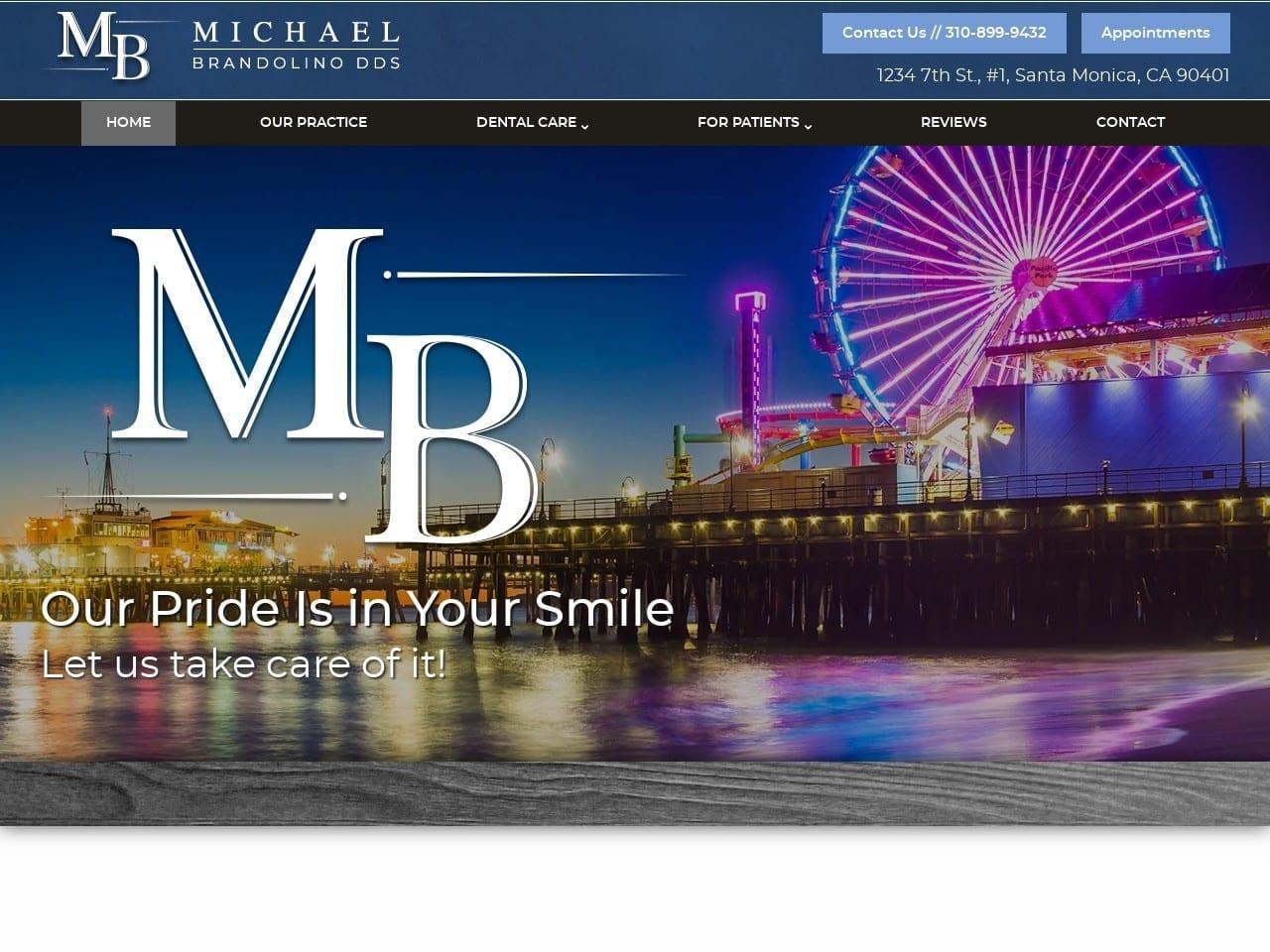 Michael J Brandolino Inc screenshot