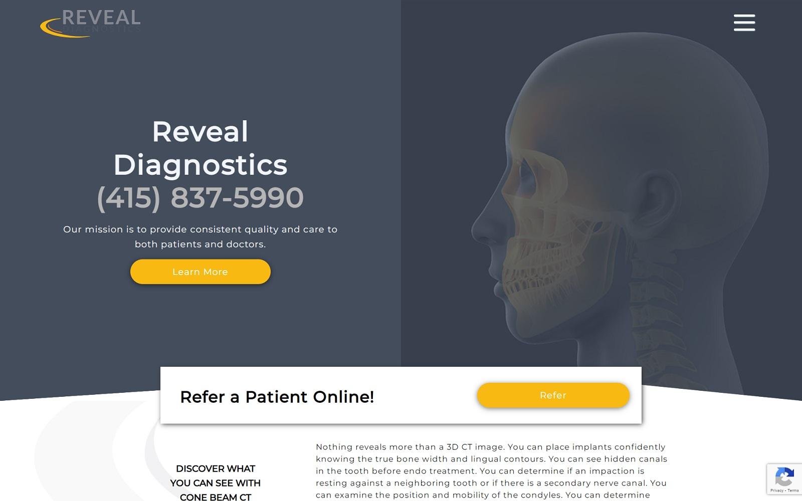 Reveal Diagnostics screenshot