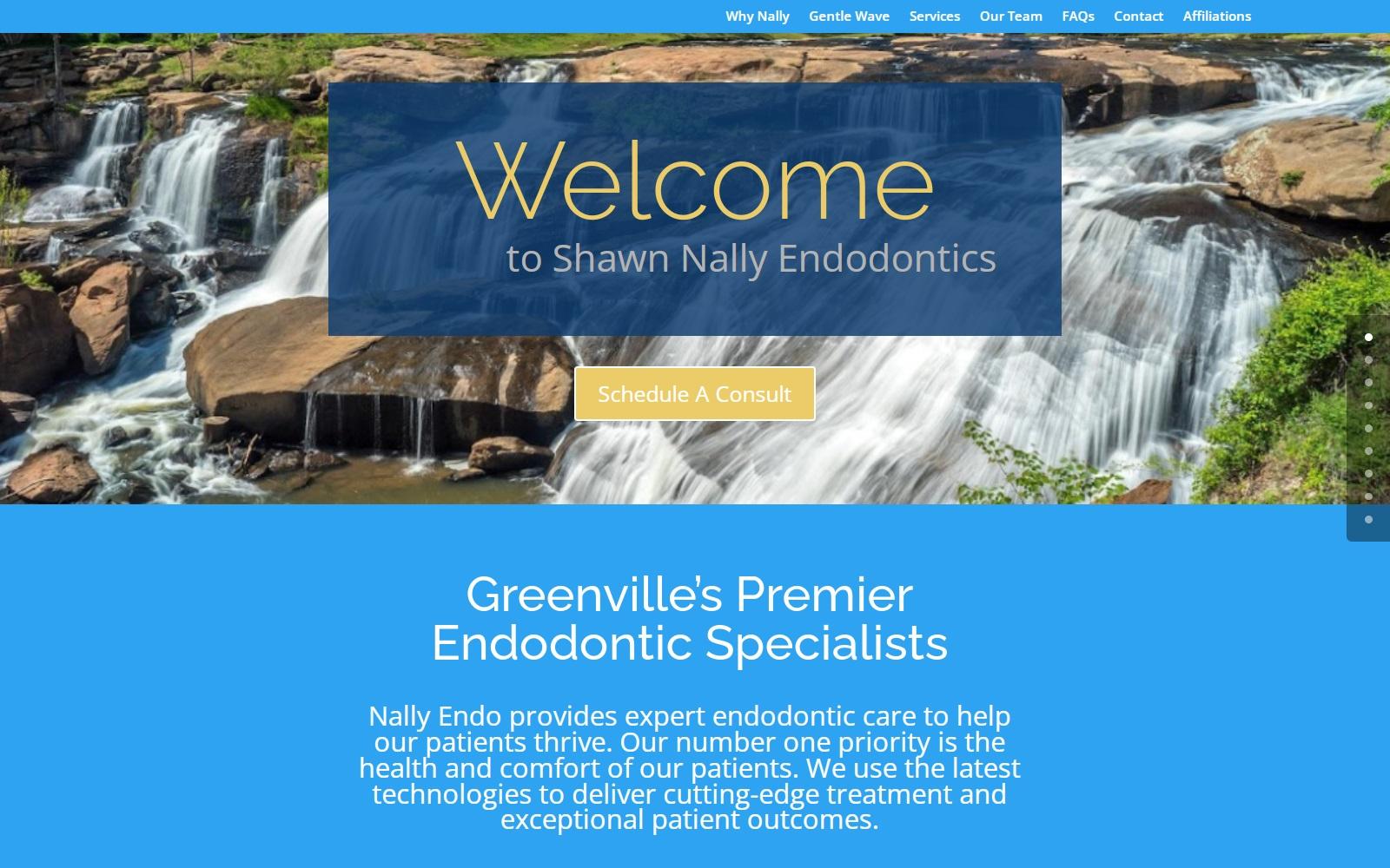 Shawn Nally Dr DDS Practice Limited to Endodontics