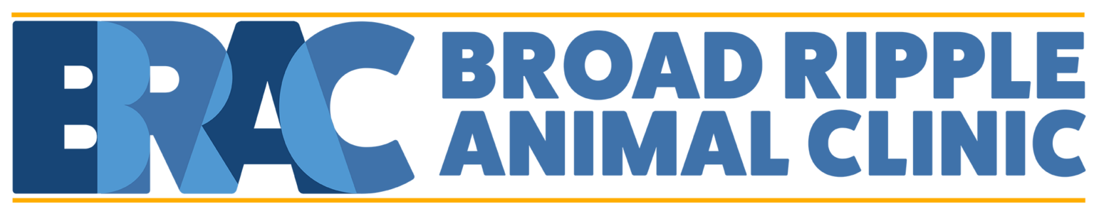Broad Ripple Animal Clinic