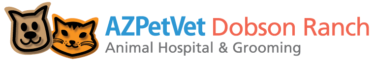 Dobson Ranch Animal Hospital & Grooming