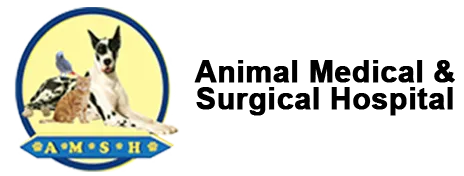 Animal Medical & Surgical Hospital