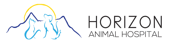 Horizon Animal Hospital