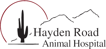 Hayden Road Animal Hospital
