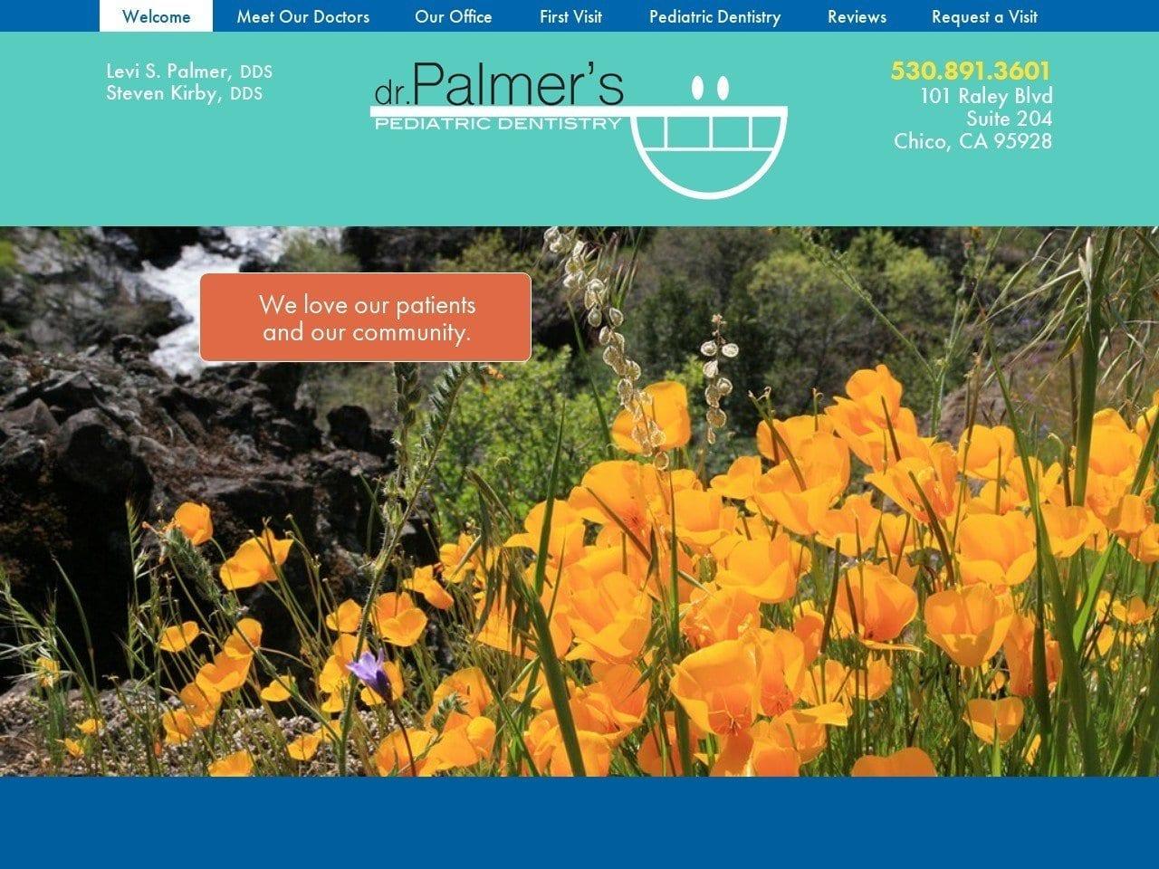 Levi Palmer DDS Pediatric Dentist screenshot
